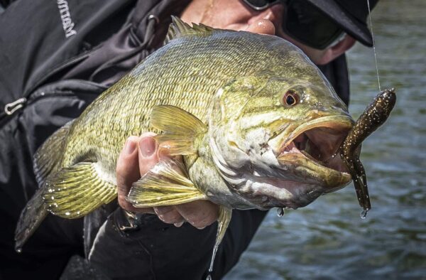 PowerBait Power Tube Fishing Artificial Bait Soft Plastic Lures - Image 3