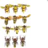 Fly Fishing Flies Collection Premium Realsti Dry Flies Nymphs Fly Fishing Flies Kit - Image 8