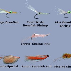 7 Pack Shrimp Flies Assortment Sizes #06 & Dry Flies Nymphs Fly Fishing Flies Kit
