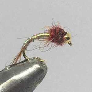 One Dozen (12) Tungsten Beadhead Rainbow W Dry Flies Nymphs Fly Fishing Flies Kit