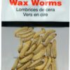 Magic Bait MAG5239 Preserved Waxworm  35 Per  Fishing Artificial Bait Soft Plastic Lures