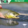 Tenkara Fly Set Sakasa Kebari Spider Rever Dry Flies Nymphs Fly Fishing Flies Kit - Image 8