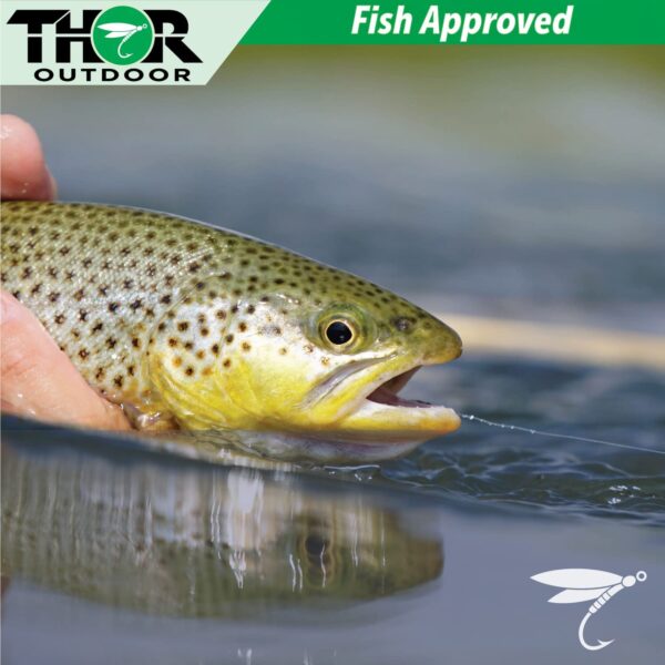 Tenkara Fly Set Sakasa Kebari Spider Rever Dry Flies Nymphs Fly Fishing Flies Kit - Image 8