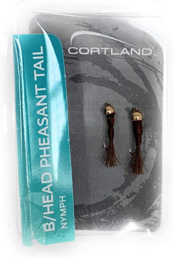 Bead Head Pheasant Tail Flies 2 Pack Dry Flies Nymphs Fly Fishing Flies Kit