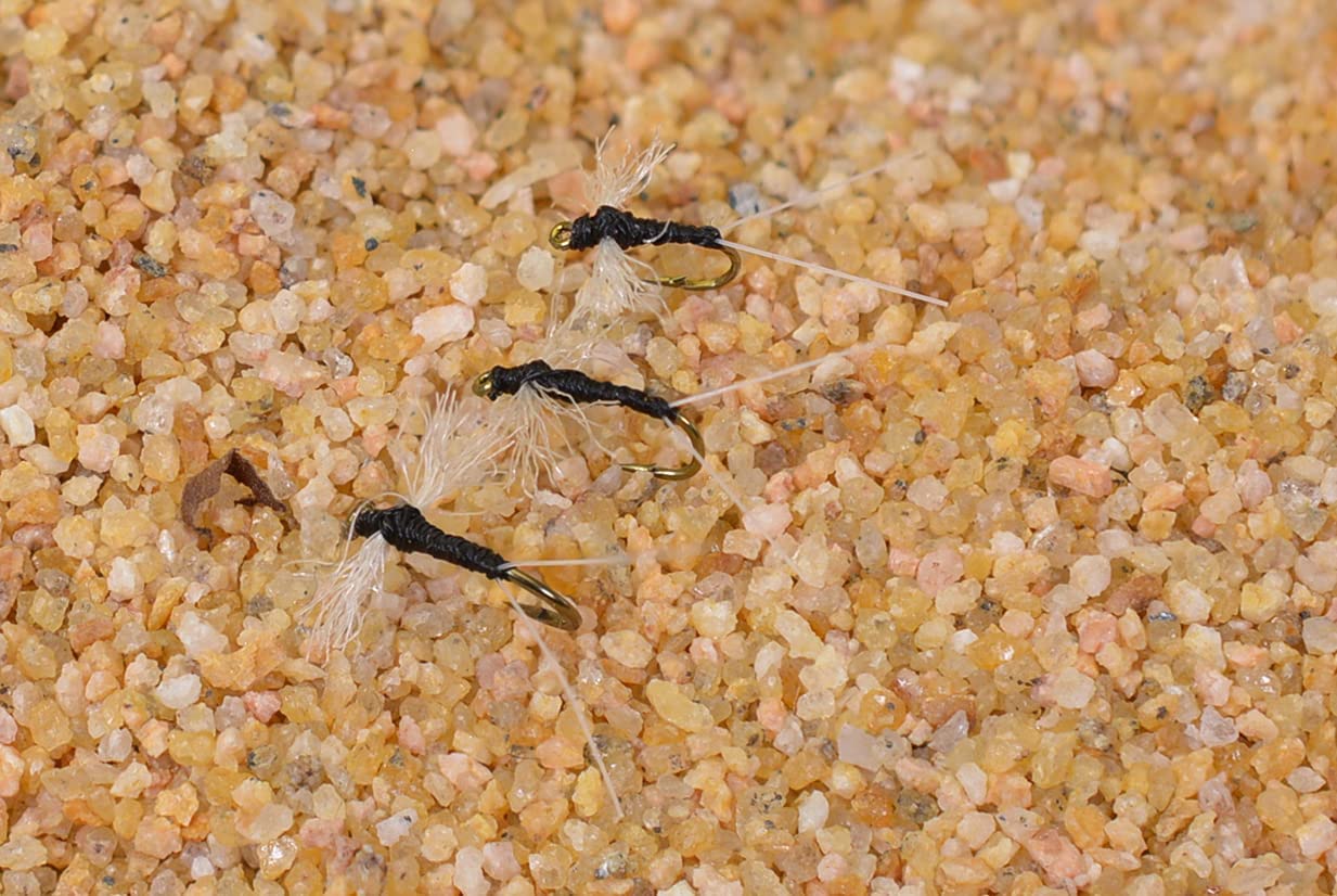 Read more about the article What bait attracts the most fish?