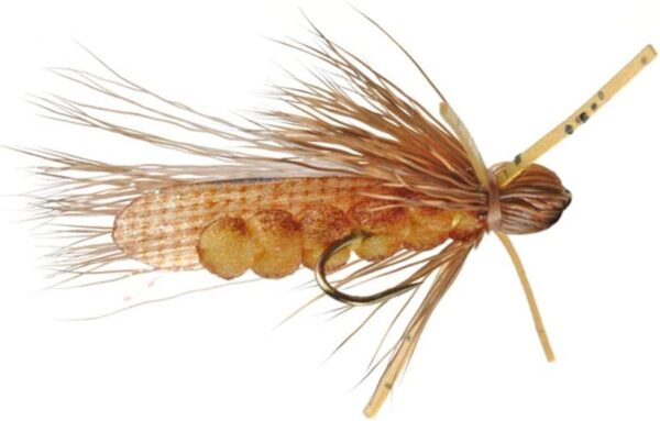 Rogue Foam Stone Golden Size 8 Multi-Packs Dry Flies Nymphs Fly Fishing Flies Kit - Image 3