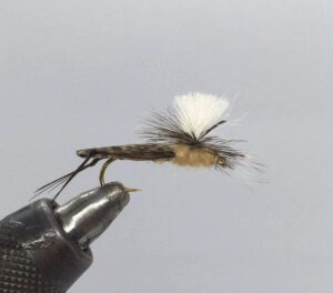 Read more about the article What is the best fake bait for fishing?