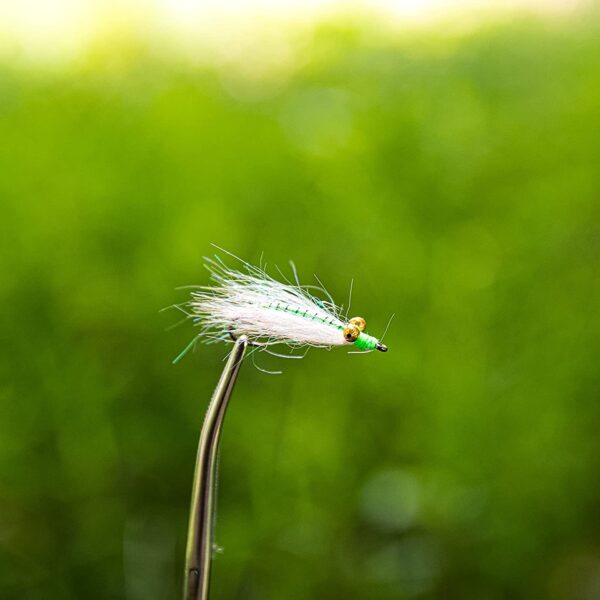 4pcs Clouser Minnow Fly Fishing Flies Assort Dry Flies Nymphs Fly Fishing Flies Kit - Image 3