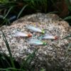 4pcs Clouser Minnow Fly Fishing Flies Assort Dry Flies Nymphs Fly Fishing Flies Kit - Image 6