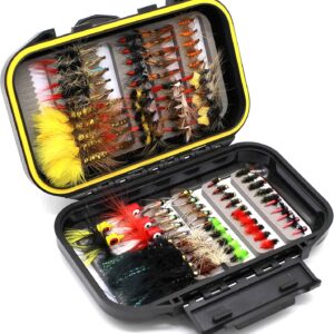 Fly Fishing Flies Assortment Kit 50/100pcs D Dry Flies Nymphs Fly Fishing Flies Kit