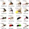Fly Fishing Flies Assortment Kit 50/100pcs D Dry Flies Nymphs Fly Fishing Flies Kit - Image 3