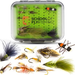 – Trout Flies 40 PC Assortment Dry Flies Nymphs Fly Fishing Flies Kit