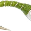 Olive Zebra Midge Silver Bead Head 1 Doz Dry Flies Nymphs Fly Fishing Flies Kit - Image 2
