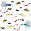 24 Pc Fly Fishing Set for Panfish  Trout  an Dry Flies Nymphs Fly Fishing Flies Kit