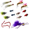 16 Pc Fly Fishing Set for Panfish  Trout  an Dry Flies Nymphs Fly Fishing Flies Kit - Image 2