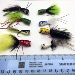 Fishing Bass Pike Flies 10 Pack Poppers Size Dry Flies Nymphs Fly Fishing Flies Kit