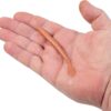 Gulp! Alive! Crawler Fishing Soft Bait Fishing Artificial Bait Soft Plastic Lures - Image 3