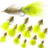 ?C 12 PC Wooly Bugger Flies 6 Patterns Avai Dry Flies Nymphs Fly Fishing Flies Kit