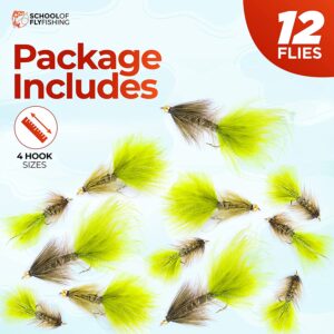?C 12 PC Wooly Bugger Flies 6 Patterns Avai Dry Flies Nymphs Fly Fishing Flies Kit