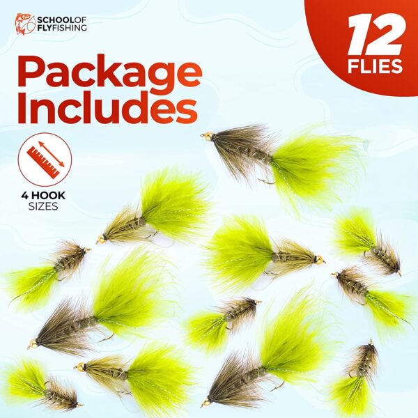 ?C 12 PC Wooly Bugger Flies 6 Patterns Avai Dry Flies Nymphs Fly Fishing Flies Kit - Image 2