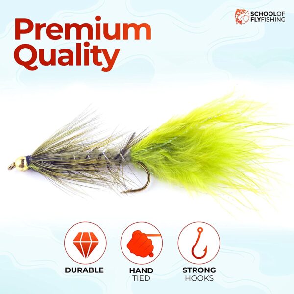 ?C 12 PC Wooly Bugger Flies 6 Patterns Avai Dry Flies Nymphs Fly Fishing Flies Kit - Image 4