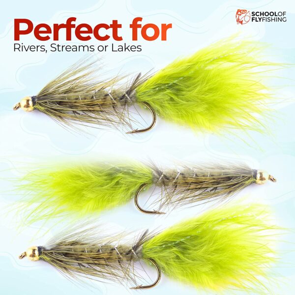 ?C 12 PC Wooly Bugger Flies 6 Patterns Avai Dry Flies Nymphs Fly Fishing Flies Kit - Image 5