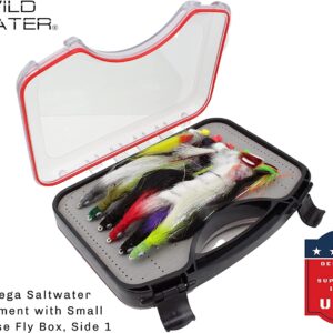 Fly Fishing Mini Mega Freshwater/Saltwater A Dry Flies Nymphs Fly Fishing Flies Kit