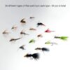 Fly Fishing Flies Kit Fly Assortment Trout B Dry Flies Nymphs Fly Fishing Flies Kit - Image 2