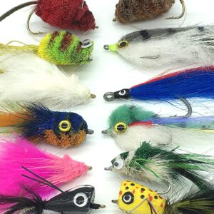 Bass and Pike Lure Selection Fly Fishing and Dry Flies Nymphs Fly Fishing Flies Kit