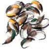 1 Dozen Mix Color Fishing Fly of Scud Larva  Dry Flies Nymphs Fly Fishing Flies Kit