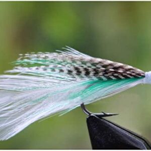 24 pcs Fly Hair Wing Salmon Trout Fly Saltwa Dry Flies Nymphs Fly Fishing Flies Kit