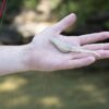 Powerbait Power Jerk Shad Fishing Bait  5  1 Fishing Artificial Bait Soft Plastic Lures" - Image 2