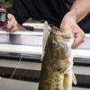 Powerbait Power Jerk Shad Fishing Bait  5  1 Fishing Artificial Bait Soft Plastic Lures" - Image 3