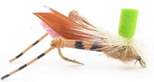 Dropper Hopper Grasshopper Trout Fly Fishing Dry Flies Nymphs Fly Fishing Flies Kit - Image 3