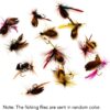 12pcs Fly Fishing Flies Kit Fly Fishing Lure Dry Flies Nymphs Fly Fishing Flies Kit - Image 3