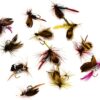 12pcs Fly Fishing Flies Kit Fly Fishing Lure Dry Flies Nymphs Fly Fishing Flies Kit - Image 5