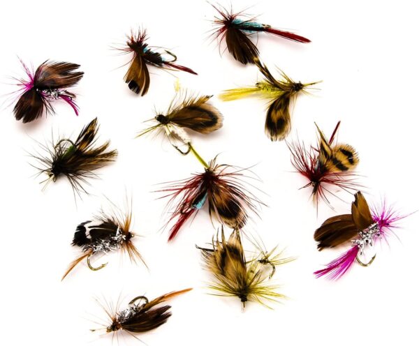 12pcs Fly Fishing Flies Kit Fly Fishing Lure Dry Flies Nymphs Fly Fishing Flies Kit - Image 5