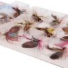 12pcs Fly Fishing Flies Kit Fly Fishing Lure Dry Flies Nymphs Fly Fishing Flies Kit - Image 8