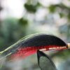 40 pcs/lot Cone Head Tube Fly 5 Colors Assor Dry Flies Nymphs Fly Fishing Flies Kit - Image 7