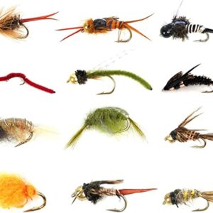 Best Assortment Flies Combo Carp Flies Wet T Dry Flies Nymphs Fly Fishing Flies Kit