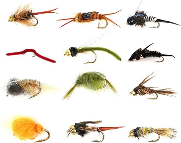 Best Assortment Flies Combo Carp Flies Wet T Dry Flies Nymphs Fly Fishing Flies Kit