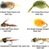 Best Assortment Flies Combo Carp Flies Wet T Dry Flies Nymphs Fly Fishing Flies Kit - Image 2
