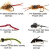 Best Assortment Flies Combo Carp Flies Wet T Dry Flies Nymphs Fly Fishing Flies Kit - Image 3