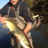 Haggerty Jointed Muskie Fishing Lures -Pike  Dry Flies Nymphs Fly Fishing Flies Kit - Image 4