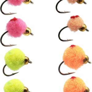 Dotted Glo-Bug Egg Fly Variety Assortment  Dry Flies Nymphs Fly Fishing Flies Kit