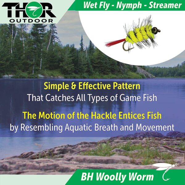 BH Woolly Worm and Squirmy Wormy Fly Fishing Dry Flies Nymphs Fly Fishing Flies Kit - Image 3