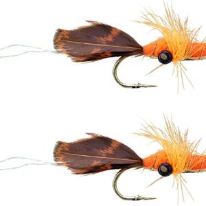 Fly Fishing Crayfish  Size 2  Qty. 2 Dry Flies Nymphs Fly Fishing Flies Kit