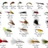 Gofor Fishing Premium Handmade Fly Fishing F Dry Flies Nymphs Fly Fishing Flies Kit - Image 2
