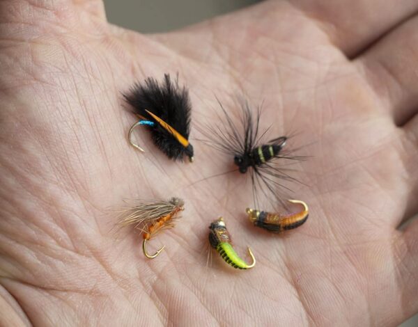 Gofor Fishing Premium Handmade Fly Fishing F Dry Flies Nymphs Fly Fishing Flies Kit - Image 3