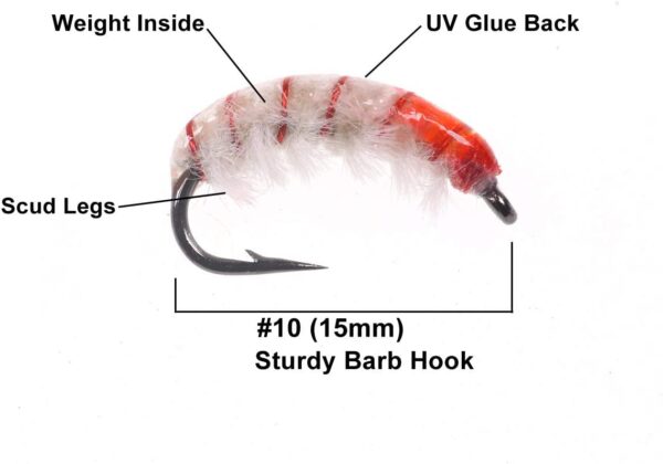 Weighted Scuds Fly Fishing Nymph Trout Fly A Dry Flies Nymphs Fly Fishing Flies Kit - Image 2